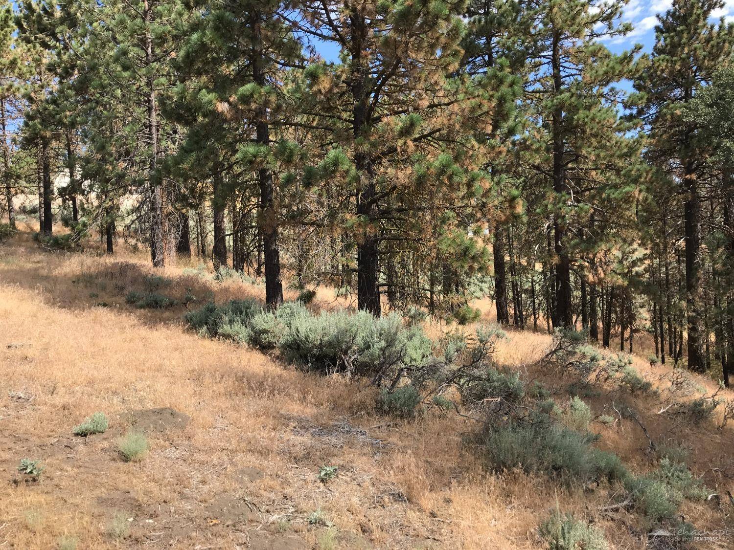 Tehachapi, CA 93561,25960 Jacaranda Drive