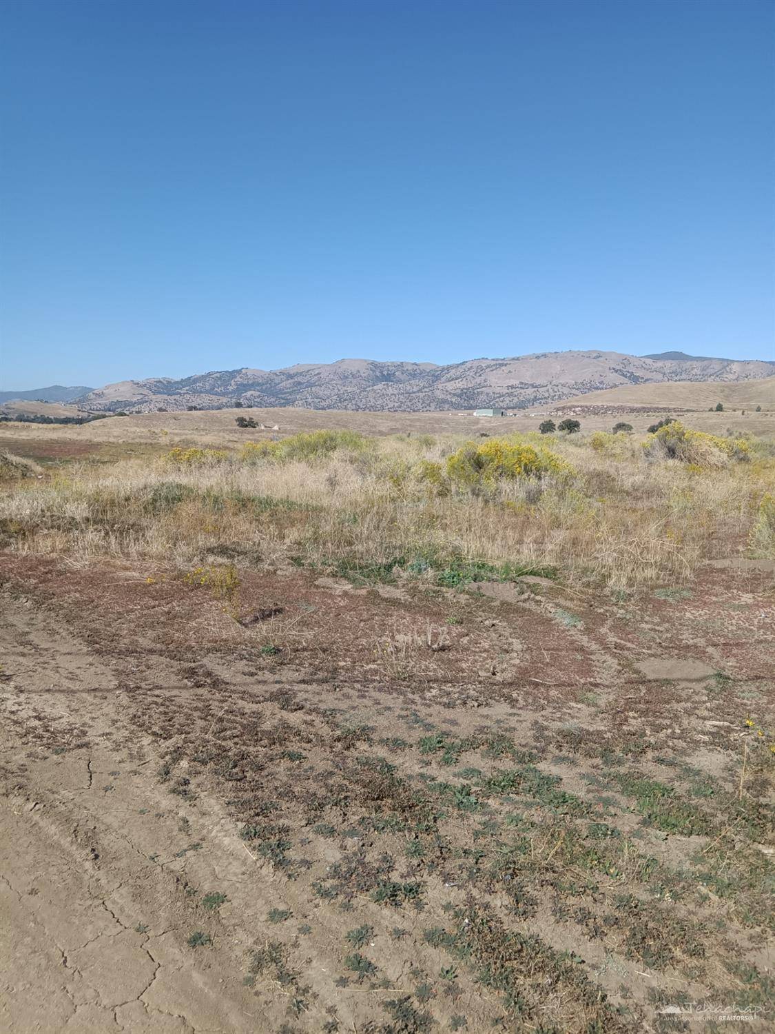 Tehachapi, CA 93561,7 Reeves St