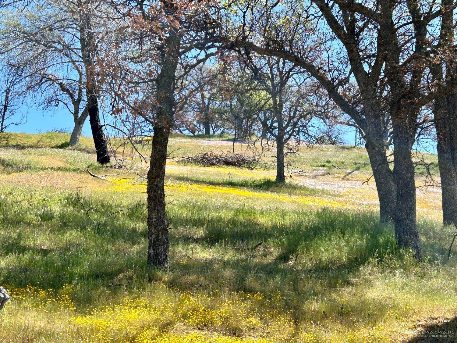 Caliente, CA 93518,0 Piute Meadows Road