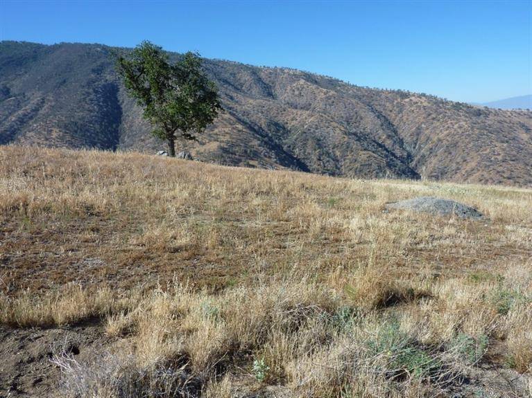 Tehachapi, CA 93561,33200 Deertrail Drive