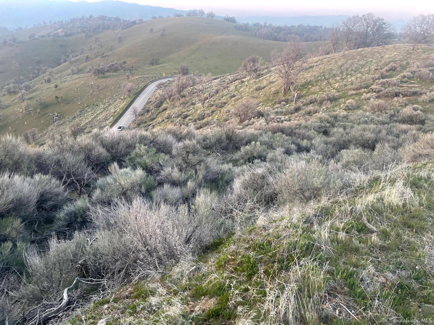 Tehachapi, CA 93561,0 Reindeer Drive