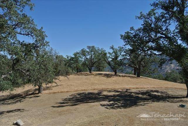 Tehachapi, CA 93561,28251 Deertrail