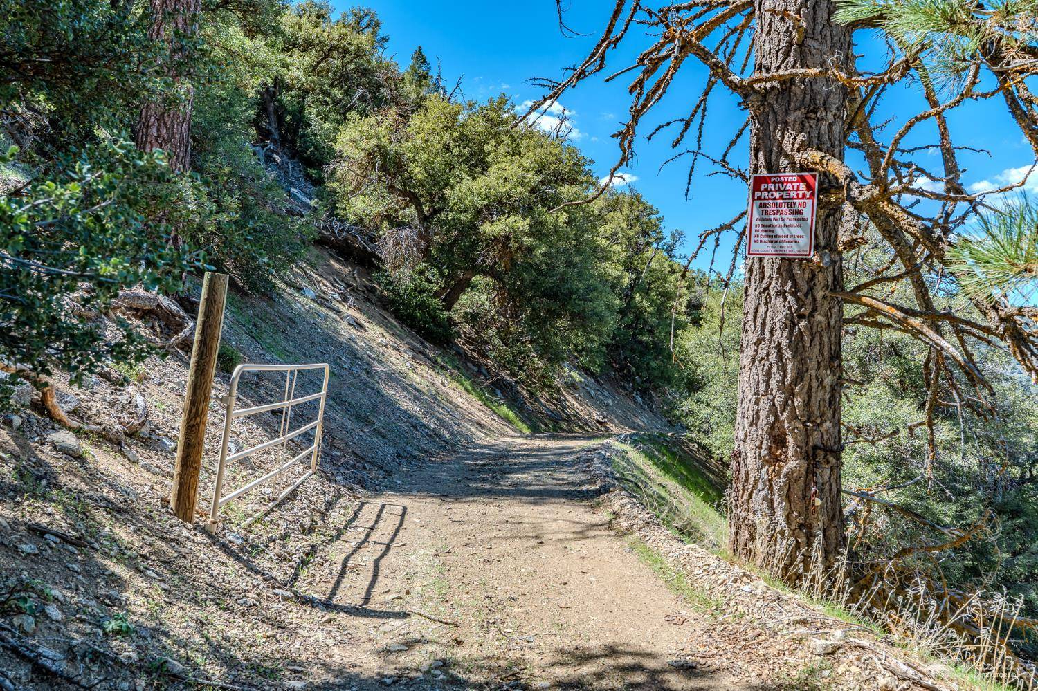 Tehachapi, CA 93561,0 Grimsel