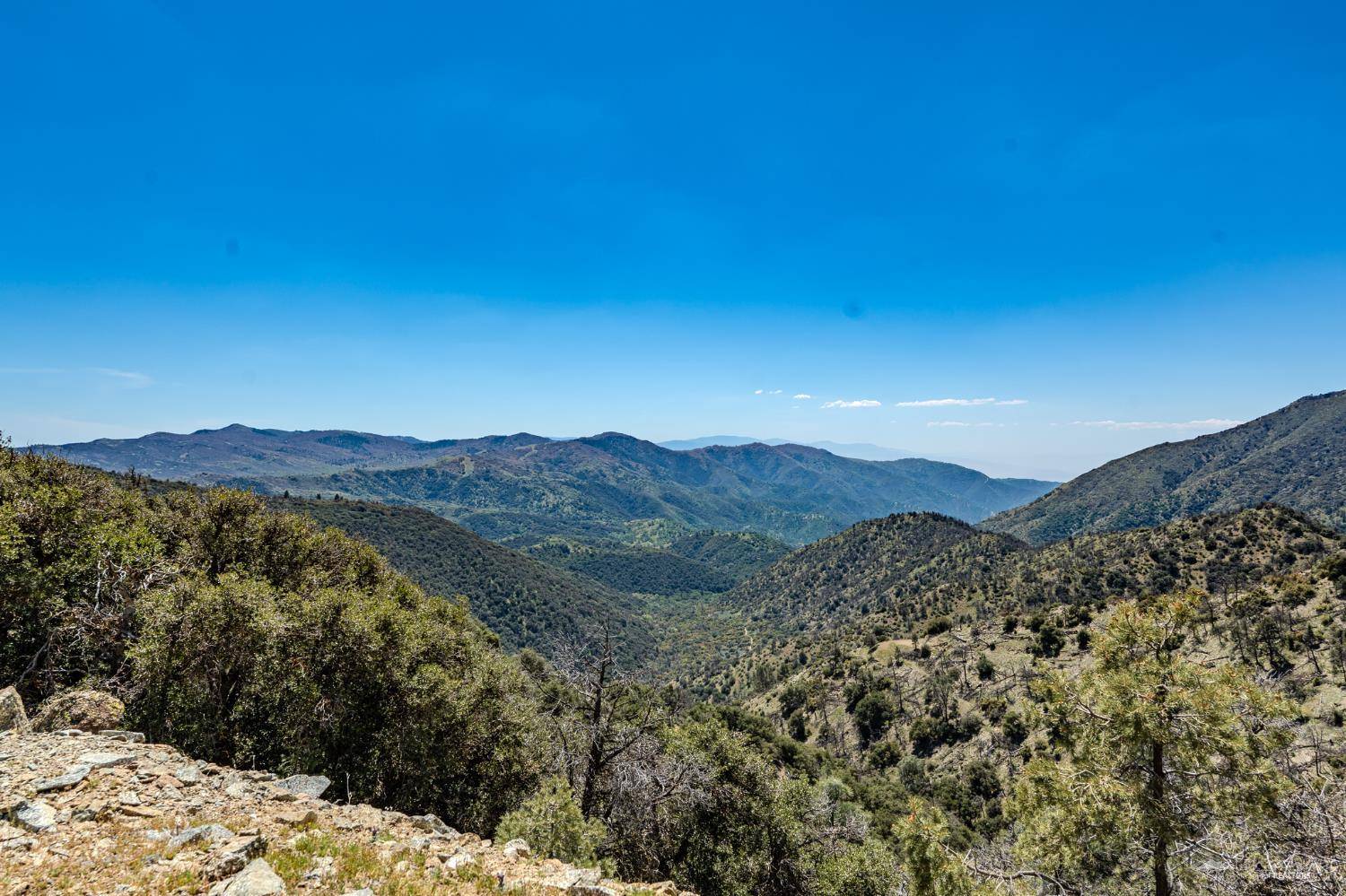Tehachapi, CA 93561,0 Grimsel