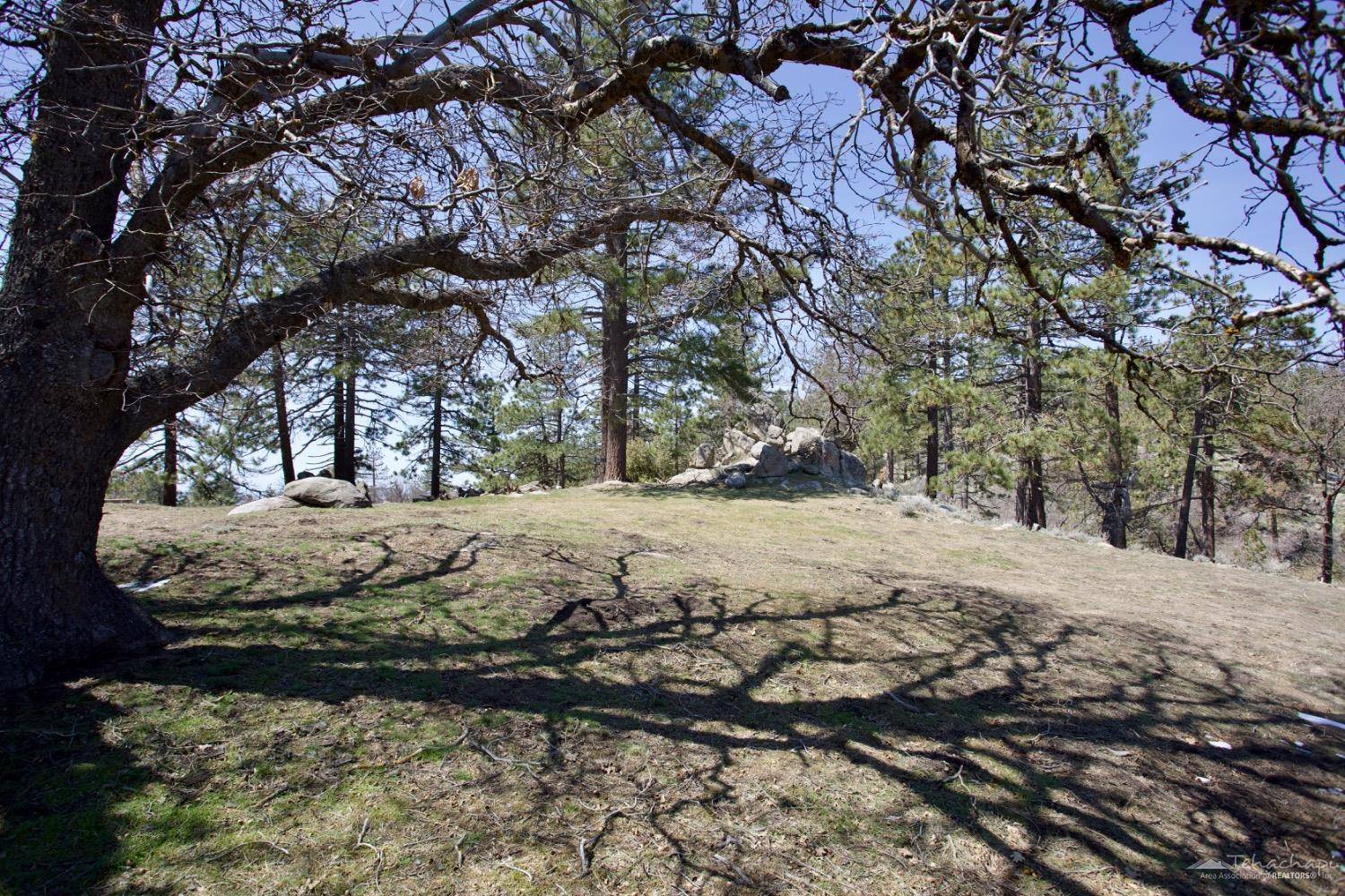 Tehachapi, CA 93561,25501 Paramount Drive