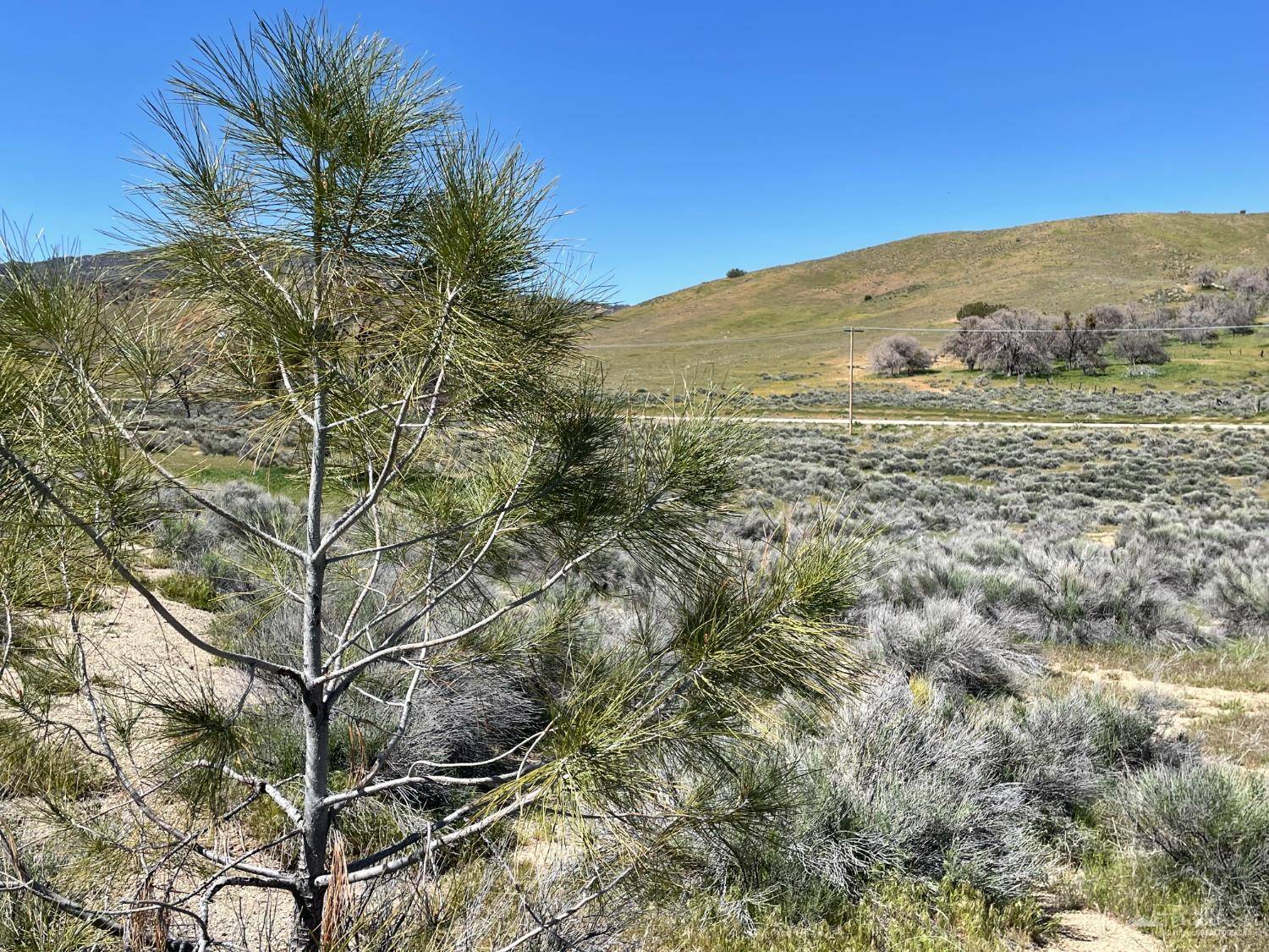 Tehachapi, CA 93561,0 Umtali Rd