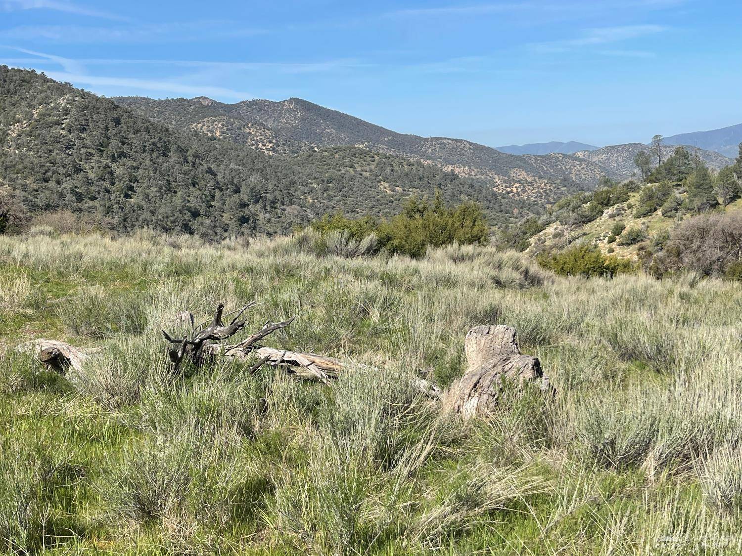 Caliente, CA 93518,0 Back Canyon Road