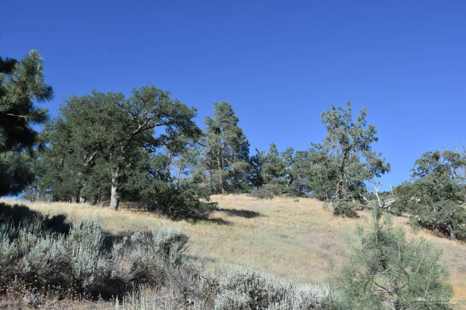 Tehachapi, CA 93561,0 Skyline