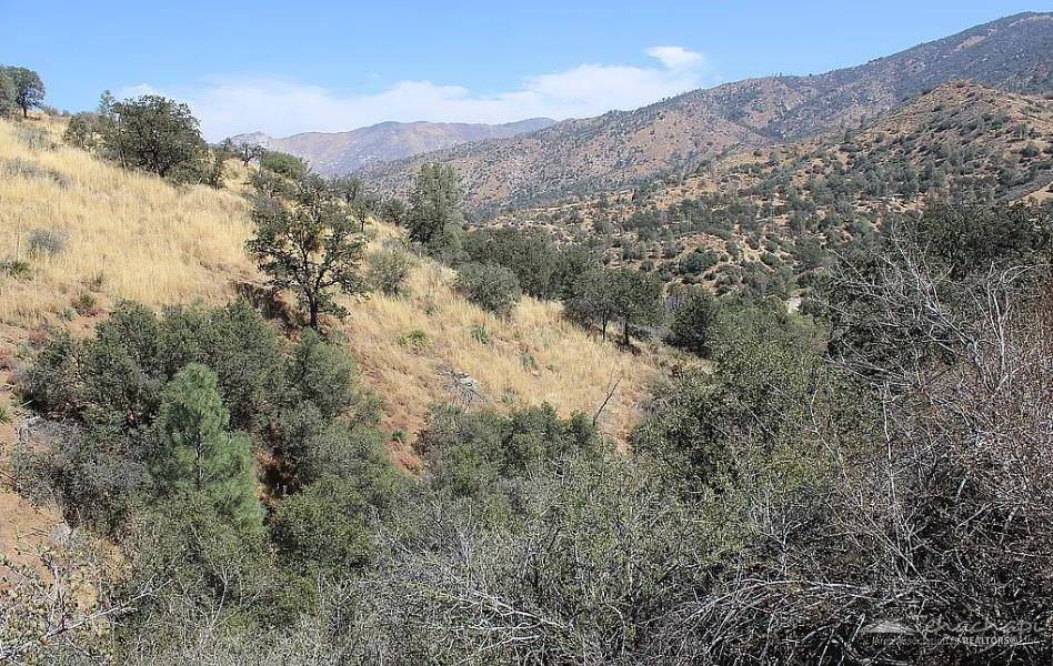 Caliente, CA 93518,0 Owls Clover, Lot 8