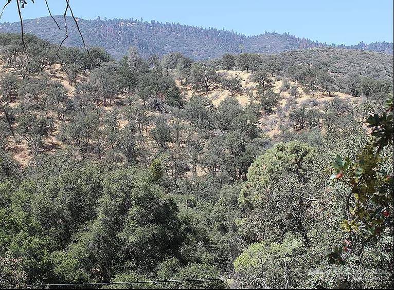 Caliente, CA 93518,0 Owls Clover, Lot 8