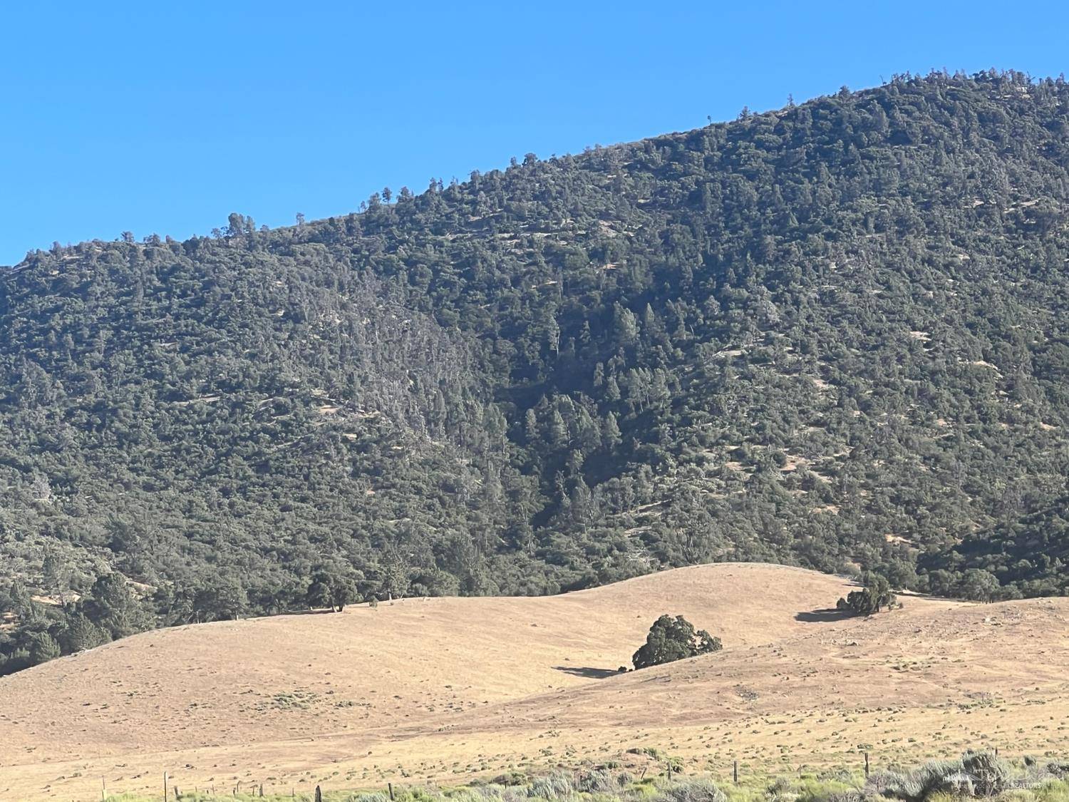 Tehachapi, CA 93561,0 dugan Drive