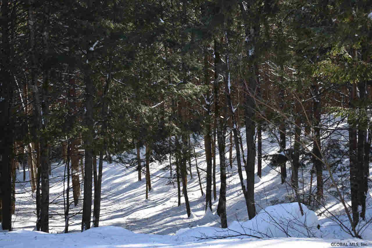 Chester, NY 12817,13 CARRIAGE Road