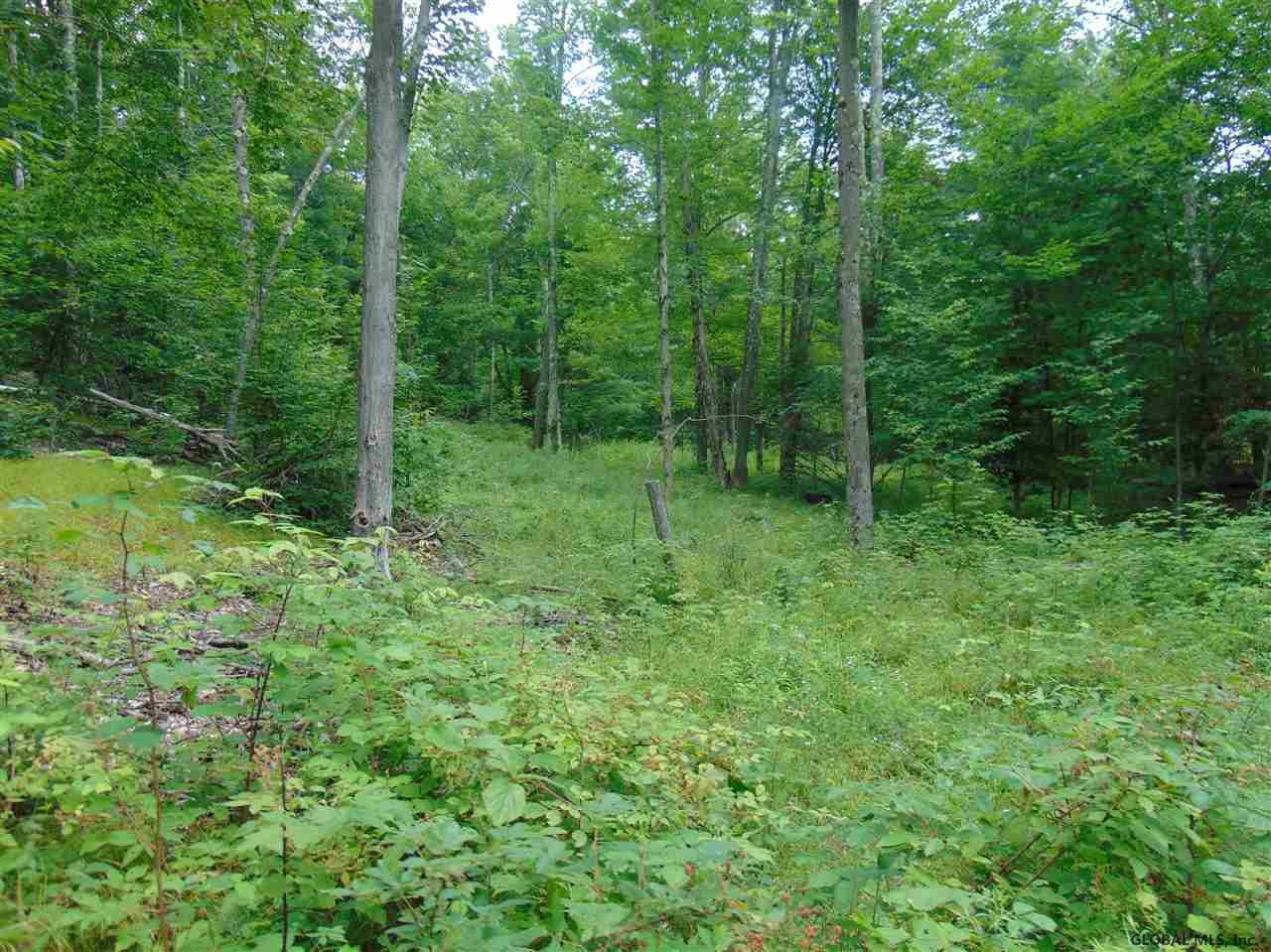 Gilboa, NY 12076,0 MACE Road