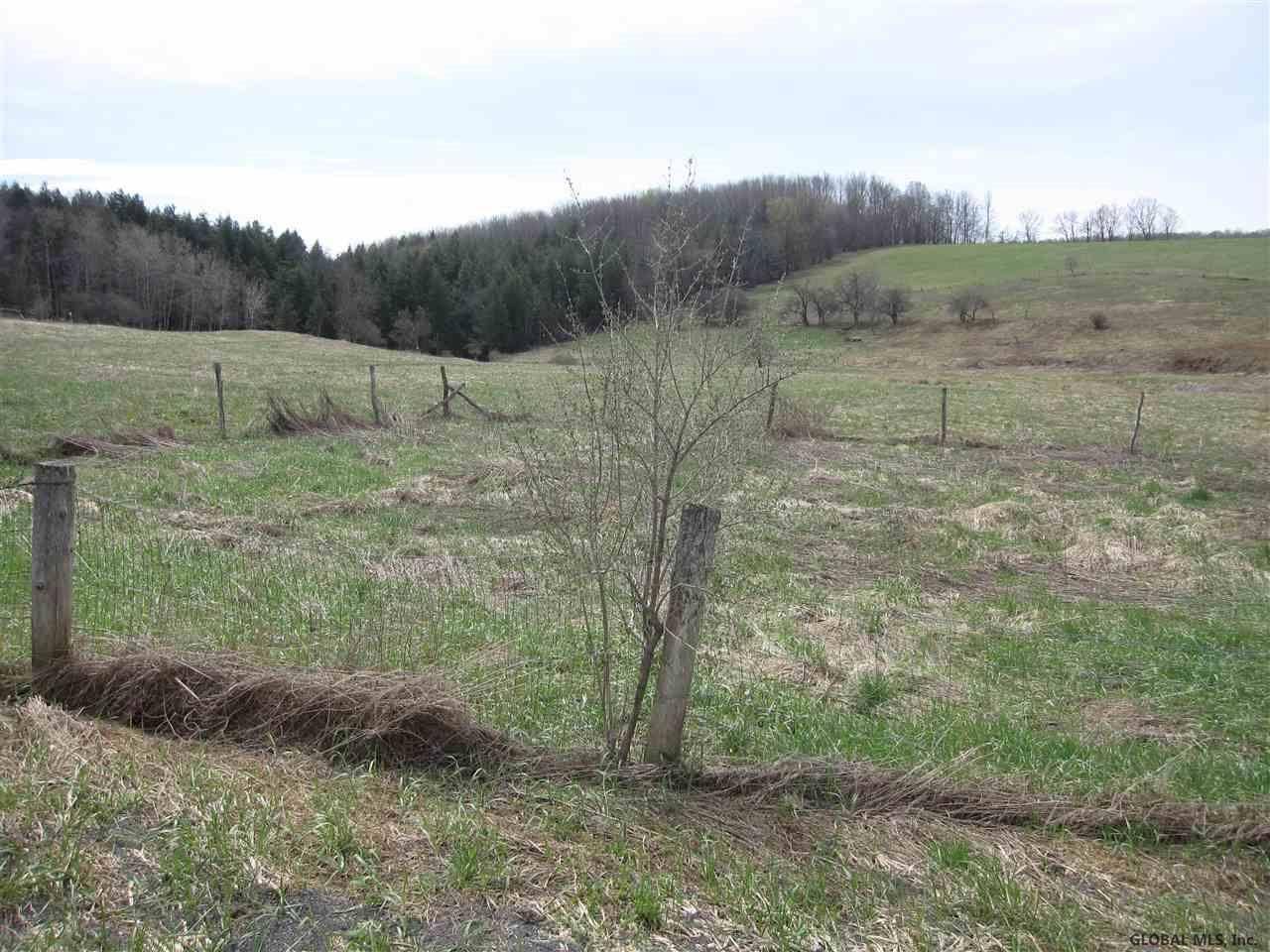 Exeter, NY 13439,117 GULF Road