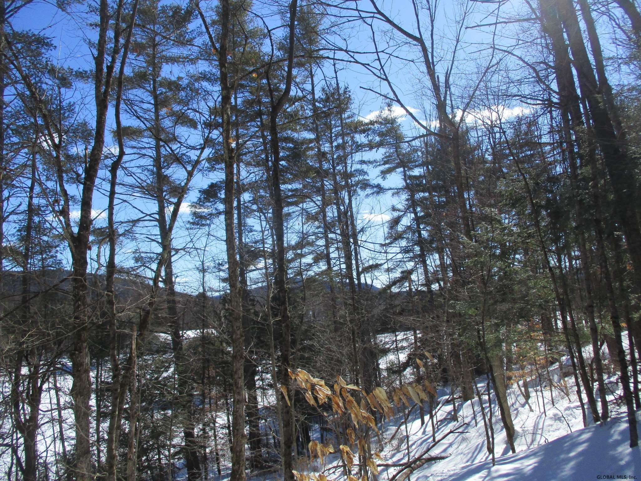 Warrensburg, NY 12885,0 SCHROON RIVER Road #Schroon River Road Lot 2