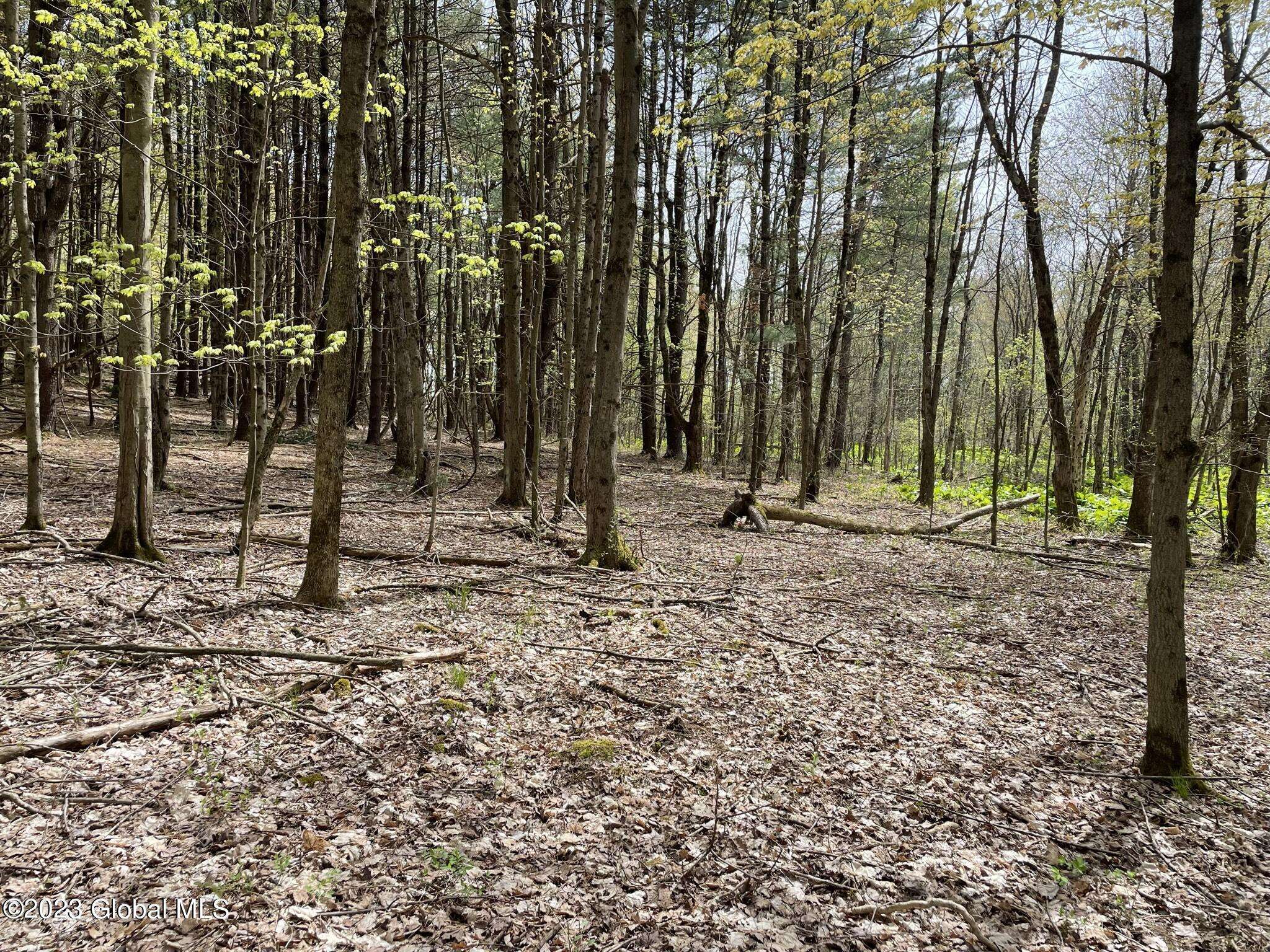 North Greenbush, NY 12198,L 3.12 Edwards Road