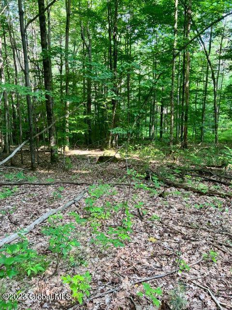 Johnstown, NY 12078,Lot 1 McGregor Road