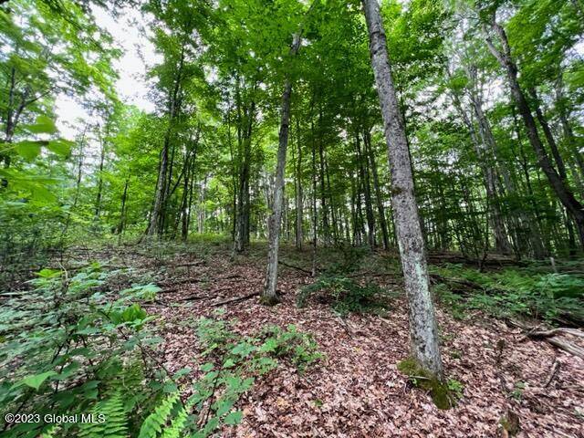 Johnstown, NY 12078,Lot 1 McGregor Road