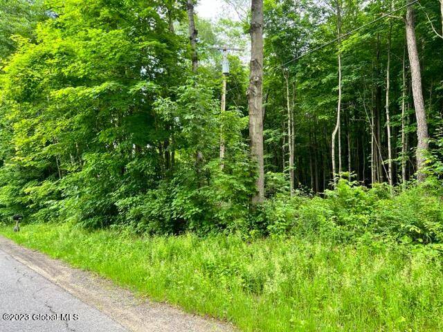 Johnstown, NY 12078,Lot 1 McGregor Road