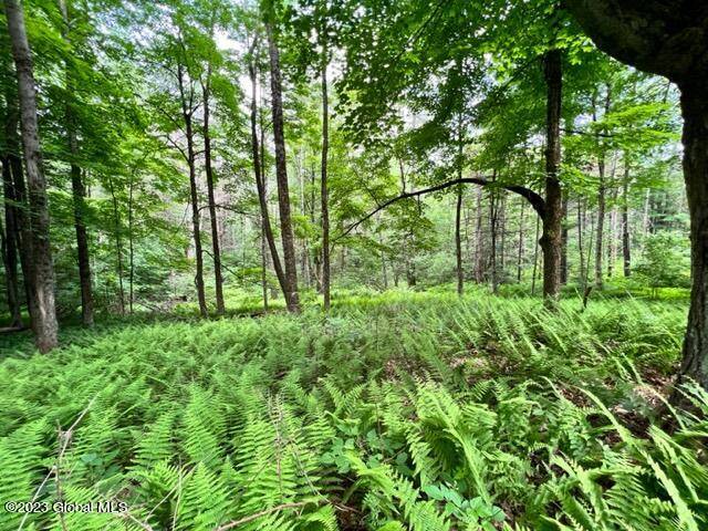 Johnstown, NY 12078,Lot 2 McGregor Road