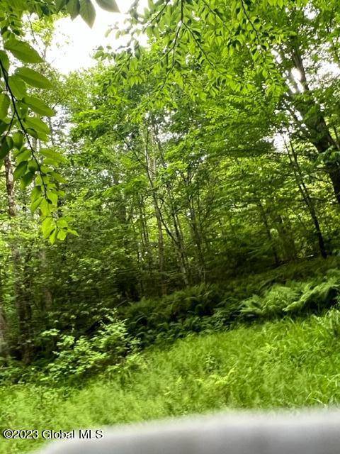 Johnstown, NY 12078,Lot 3 McGregor Road