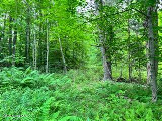 Johnstown, NY 12078,Lot 4 McGregor Road