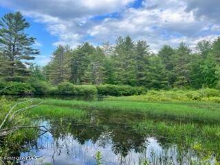 Johnstown, NY 12078,Lot 4 McGregor Road