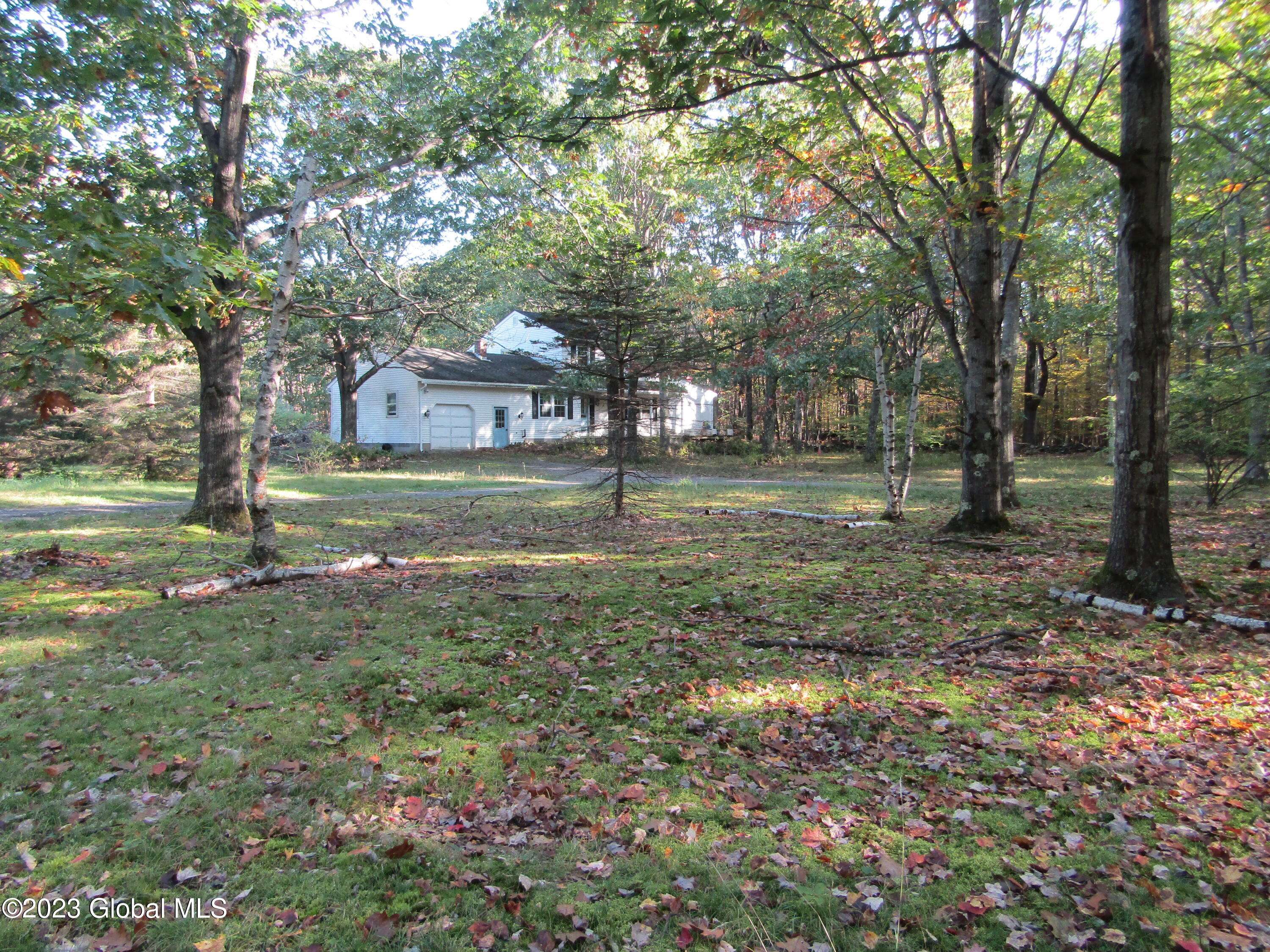 Westerlo, NY 12193,96 Slade Hill Road