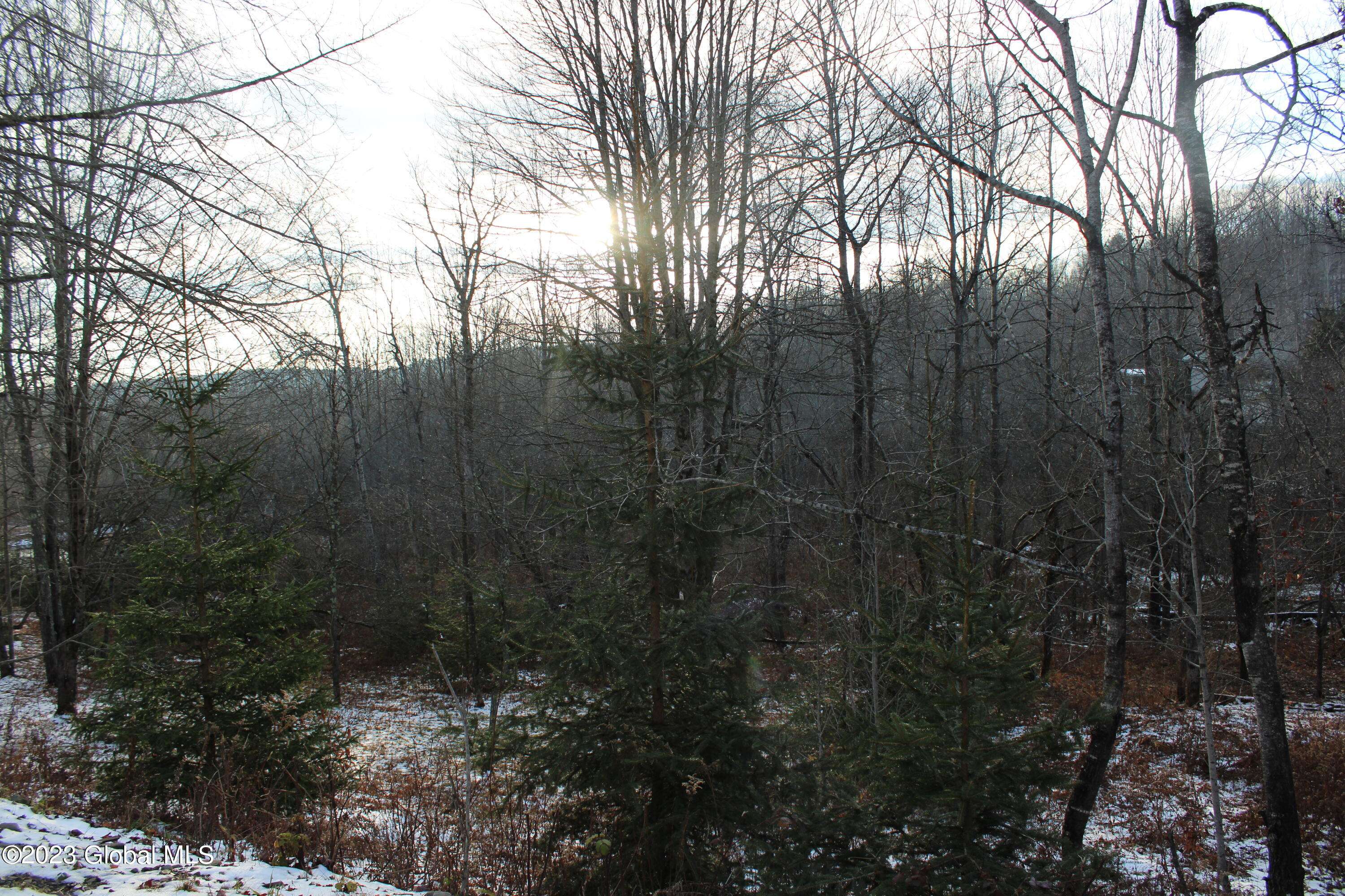 Worcester, NY 12197,510 Smith Road