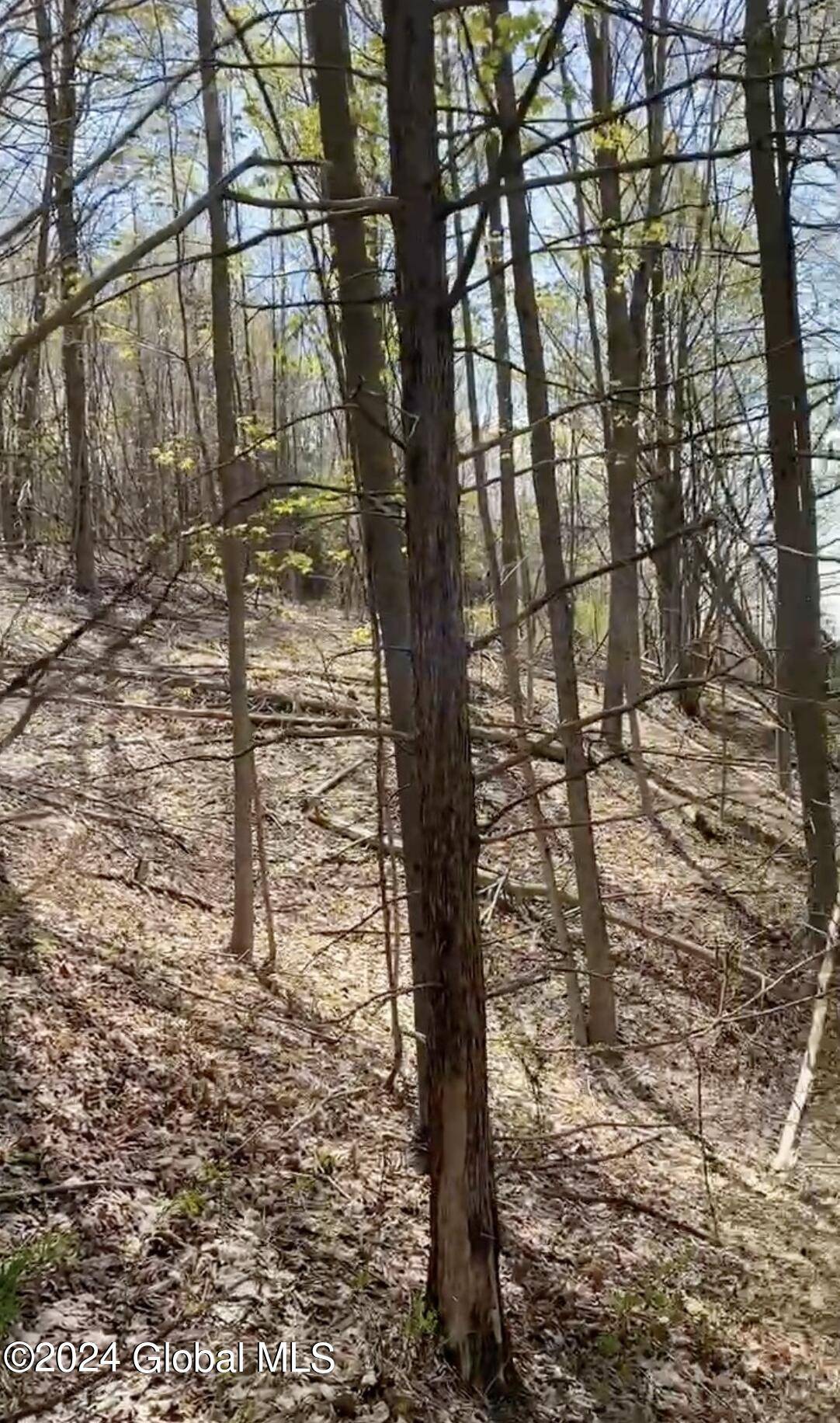 Amenia, NY 12501,L24 Old Route 22 #Lot #2, 3, 4