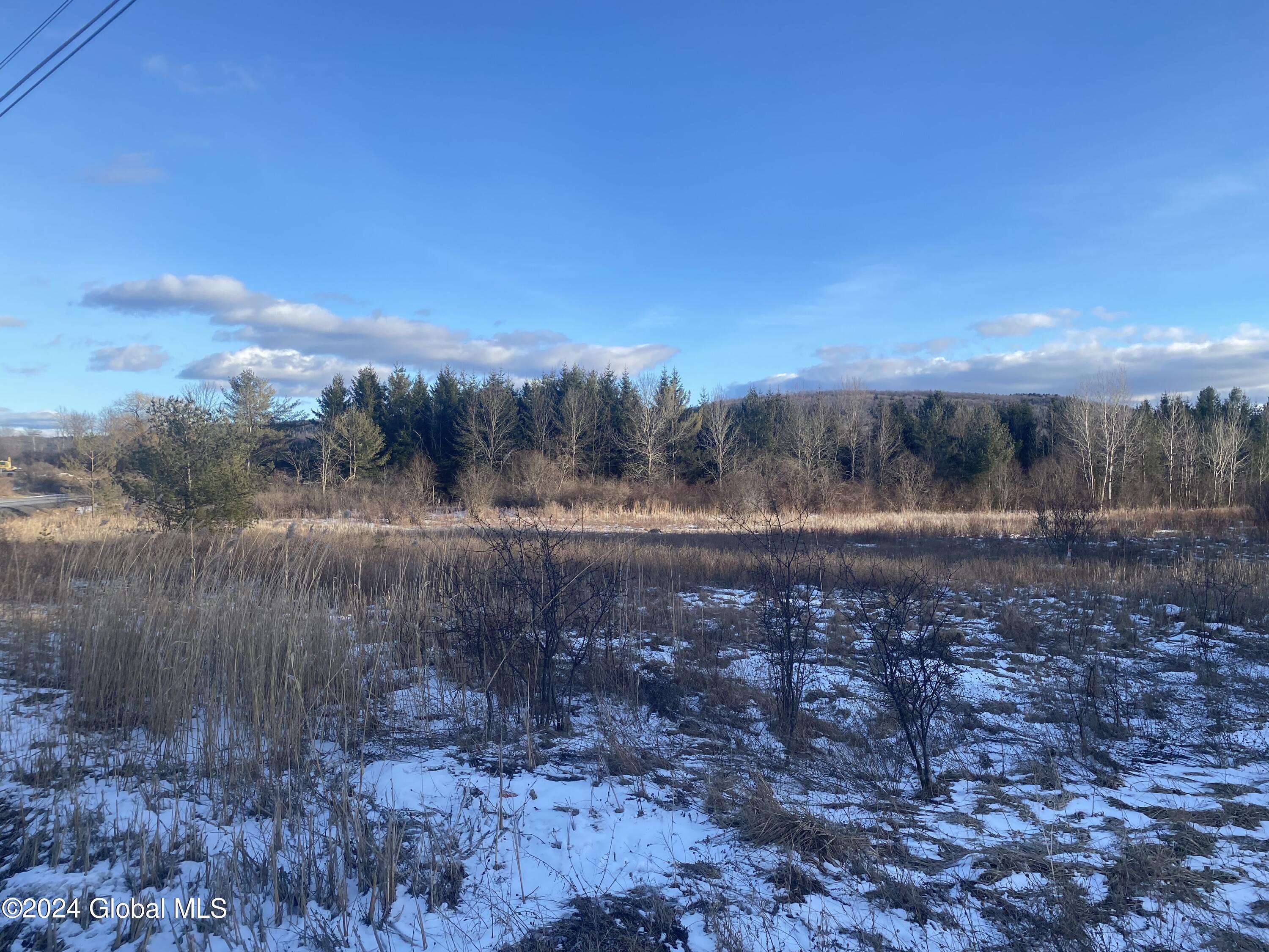 Berne, NY 12059,689 Beaver Dam Road