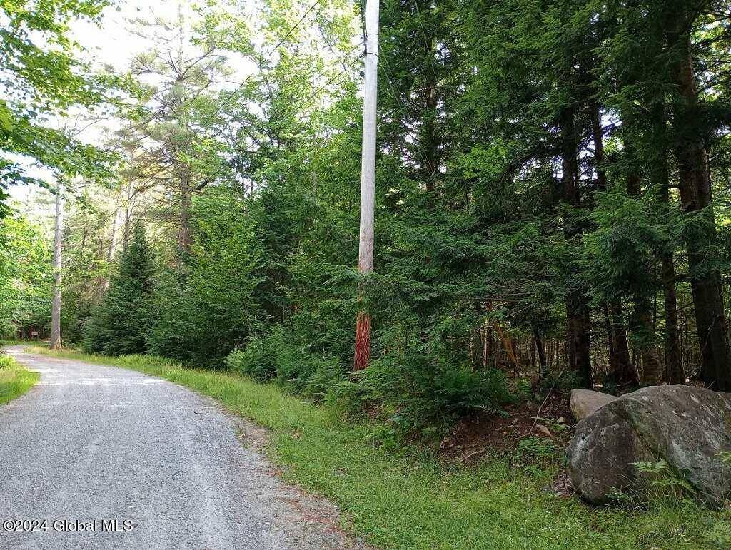 Johnsburg, NY 12886,L59 Antler Lake Road