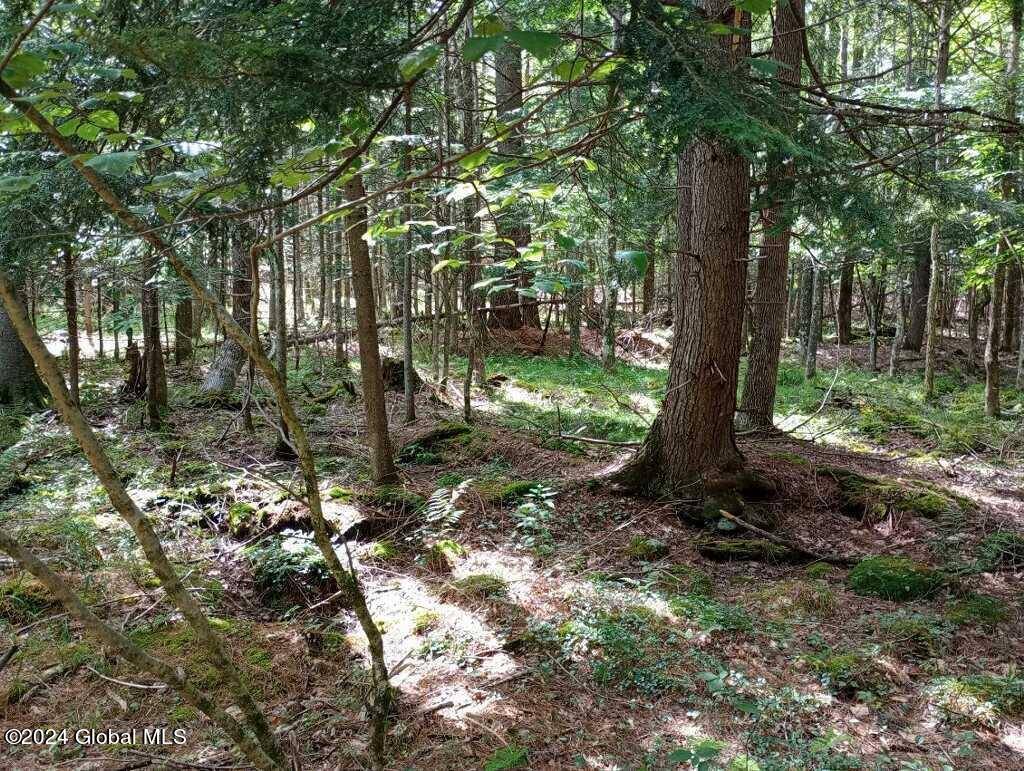 Johnsburg, NY 12886,L59 Antler Lake Road