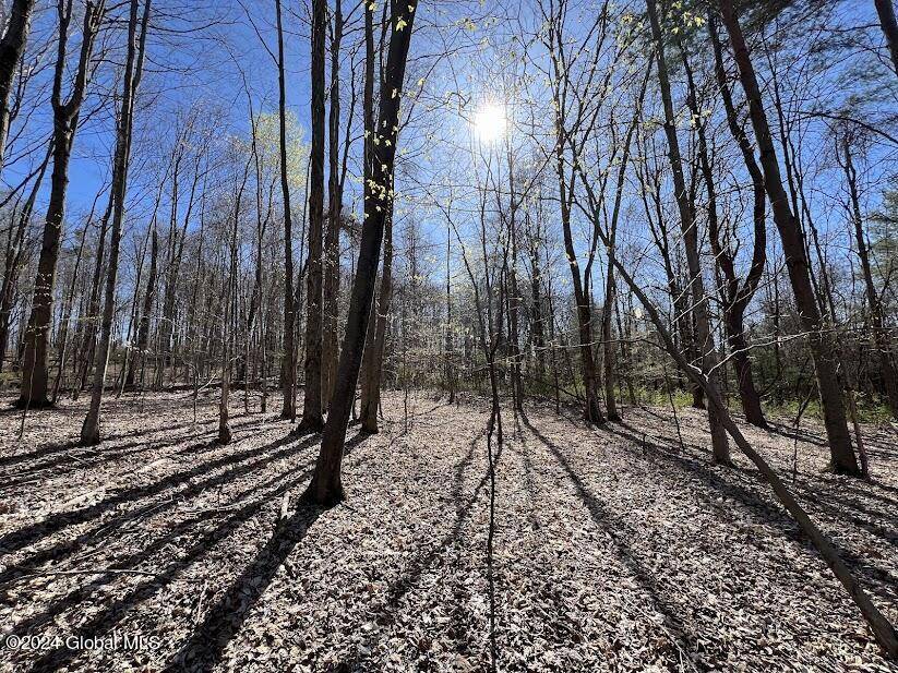 Argyle, NY 12809,L9 McNeil Road
