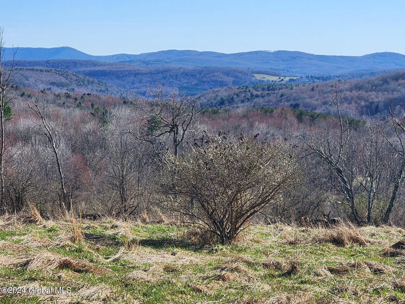 Summit, NY 12175,L2 Lang Road