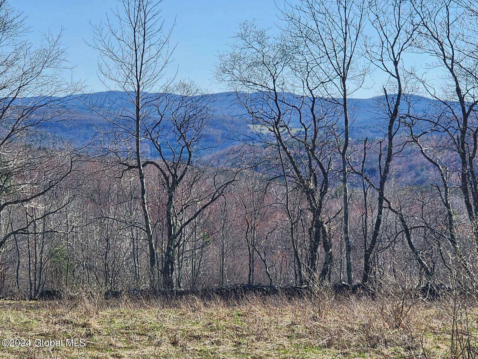 Summit, NY 12175,L2 Lang Road