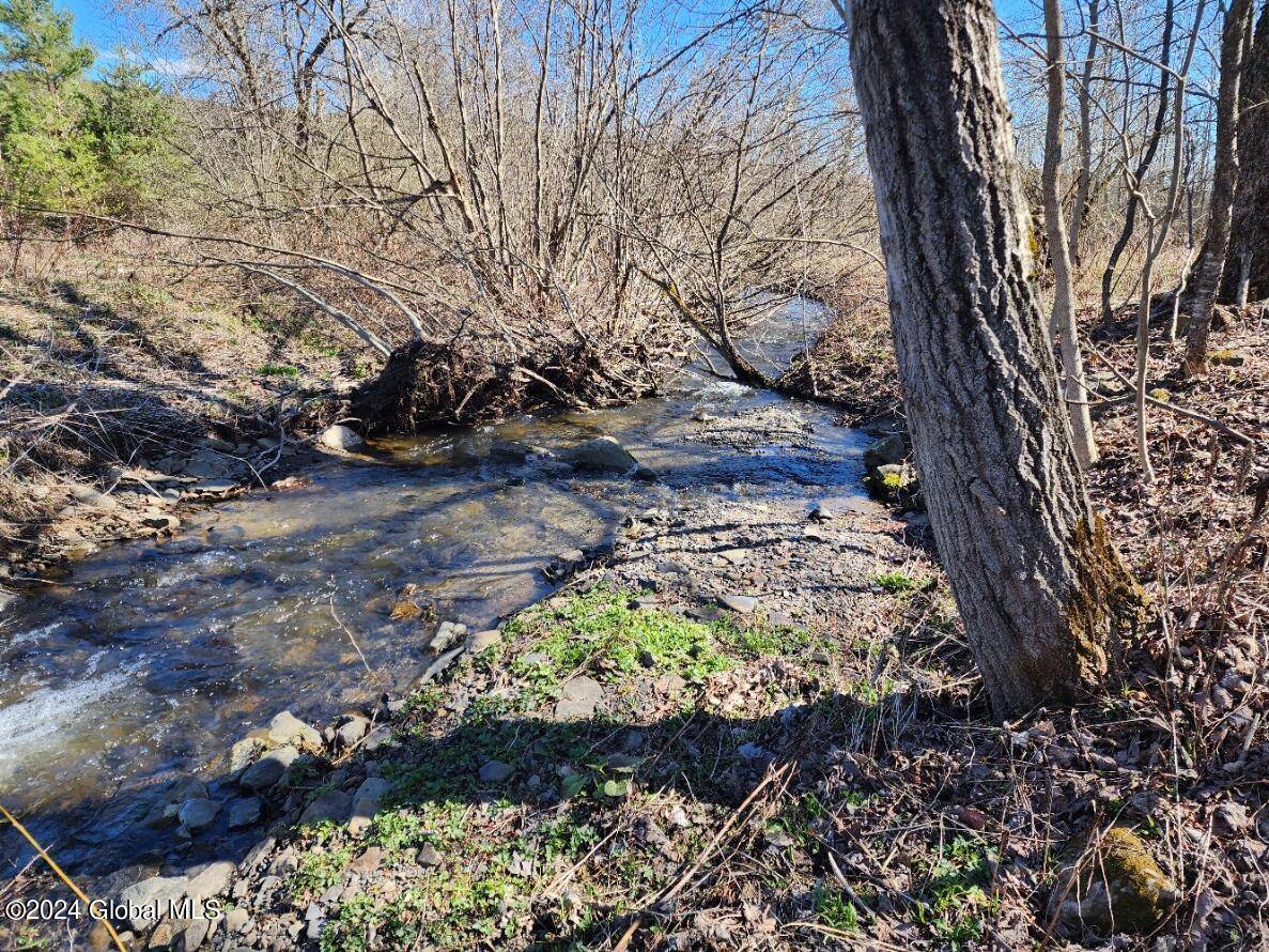 Summit, NY 12175,L5 Lang Road