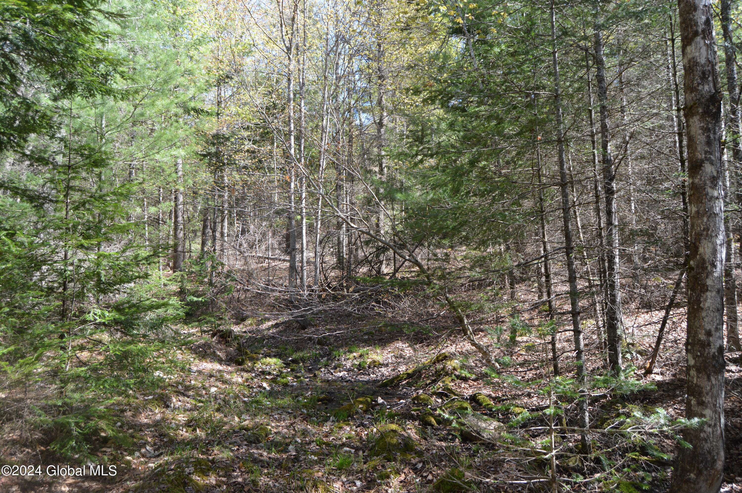 Chester, NY 12817,00 Adirondack Heights Rd Lot 7