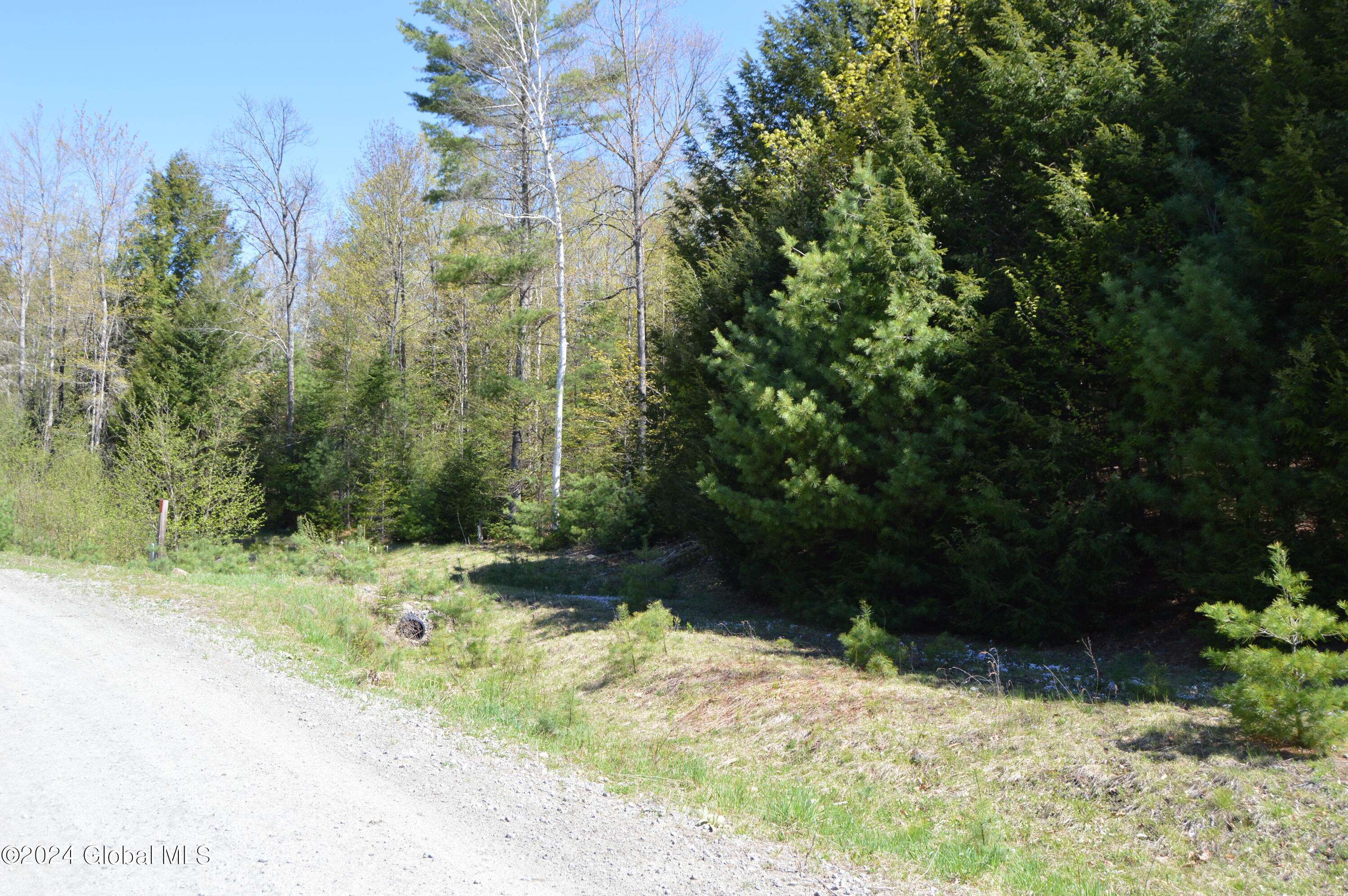 Chester, NY 12817,00 Adirondack Heights Rd Lot 7