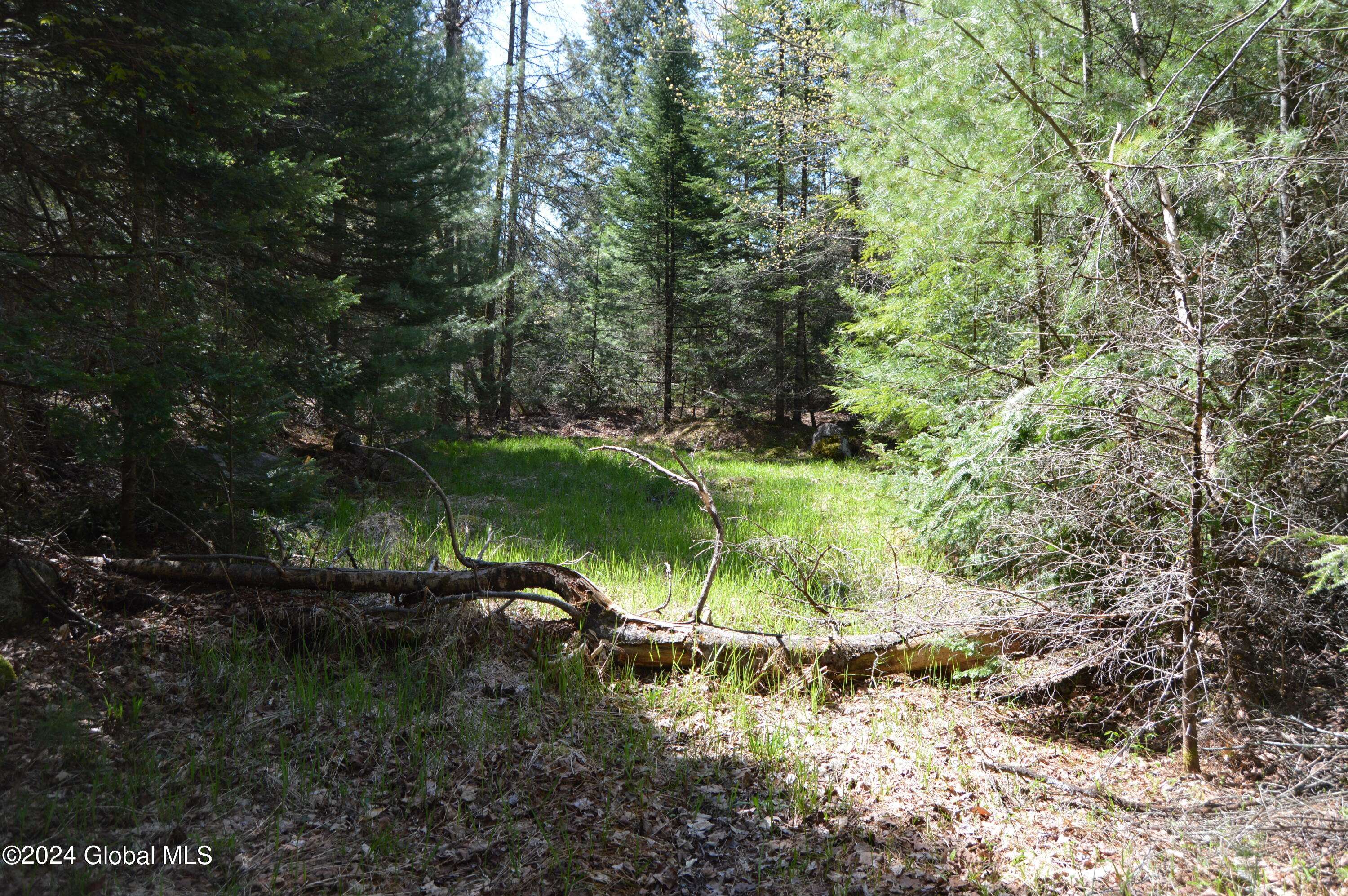 Chester, NY 12817,00 Adirondack Heights Rd Lot 8