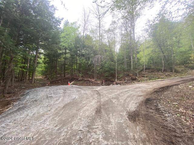Johnsburg, NY 12853,L47 NY State Route 28