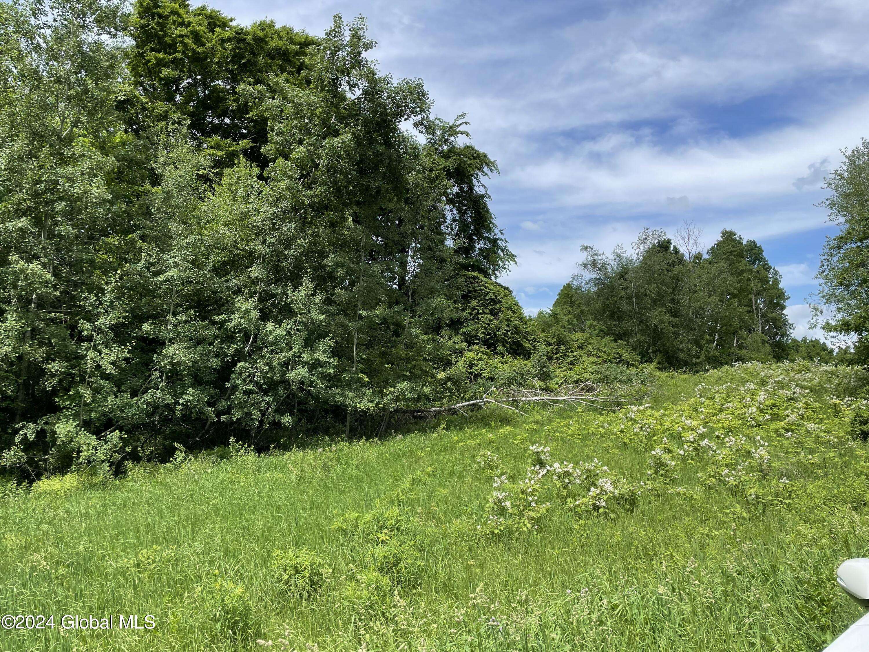 Granville, NY 12832,Lot 3 Halterman Rd