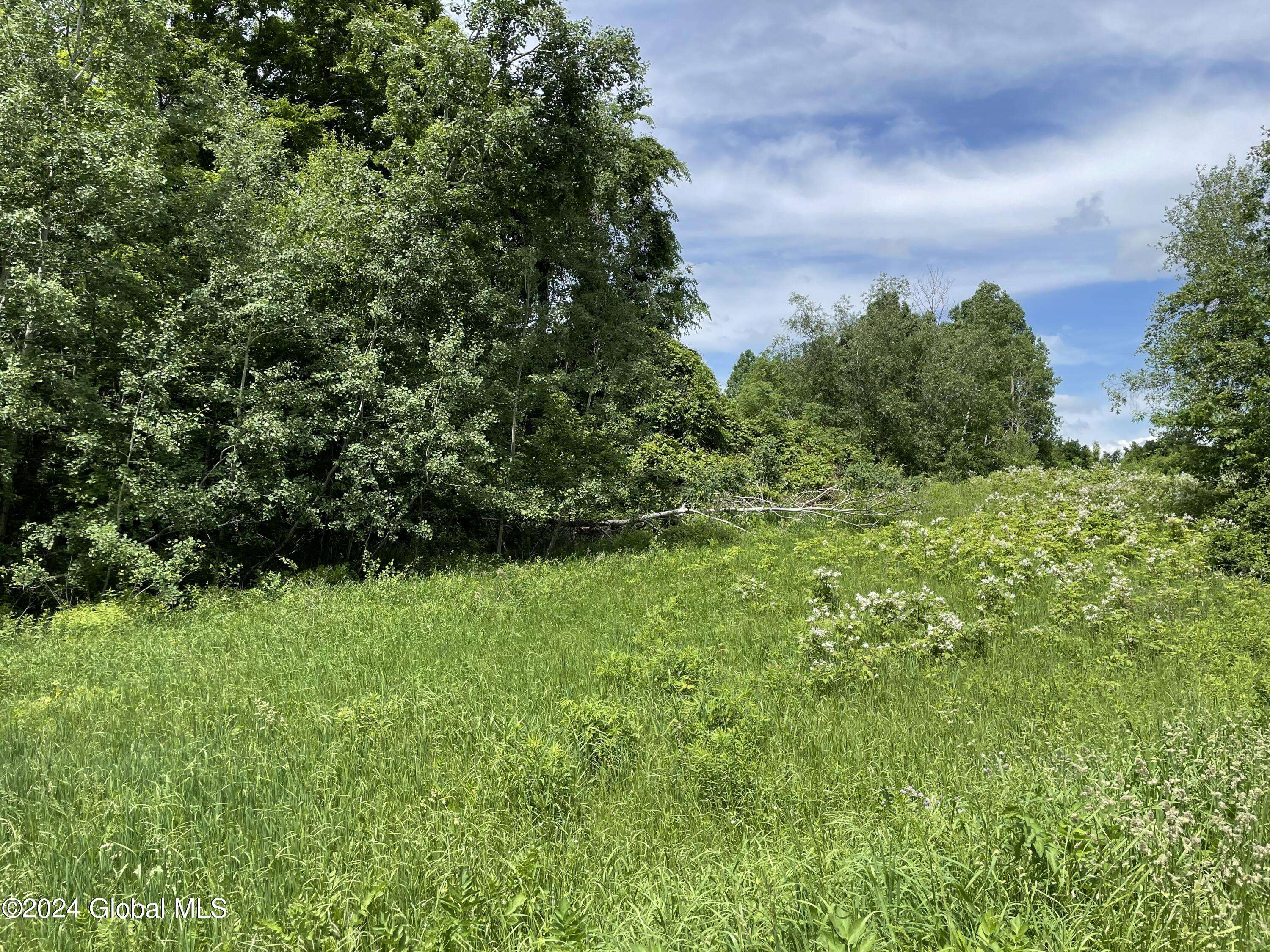 Granville, NY 12832,Lot 3 Halterman Rd