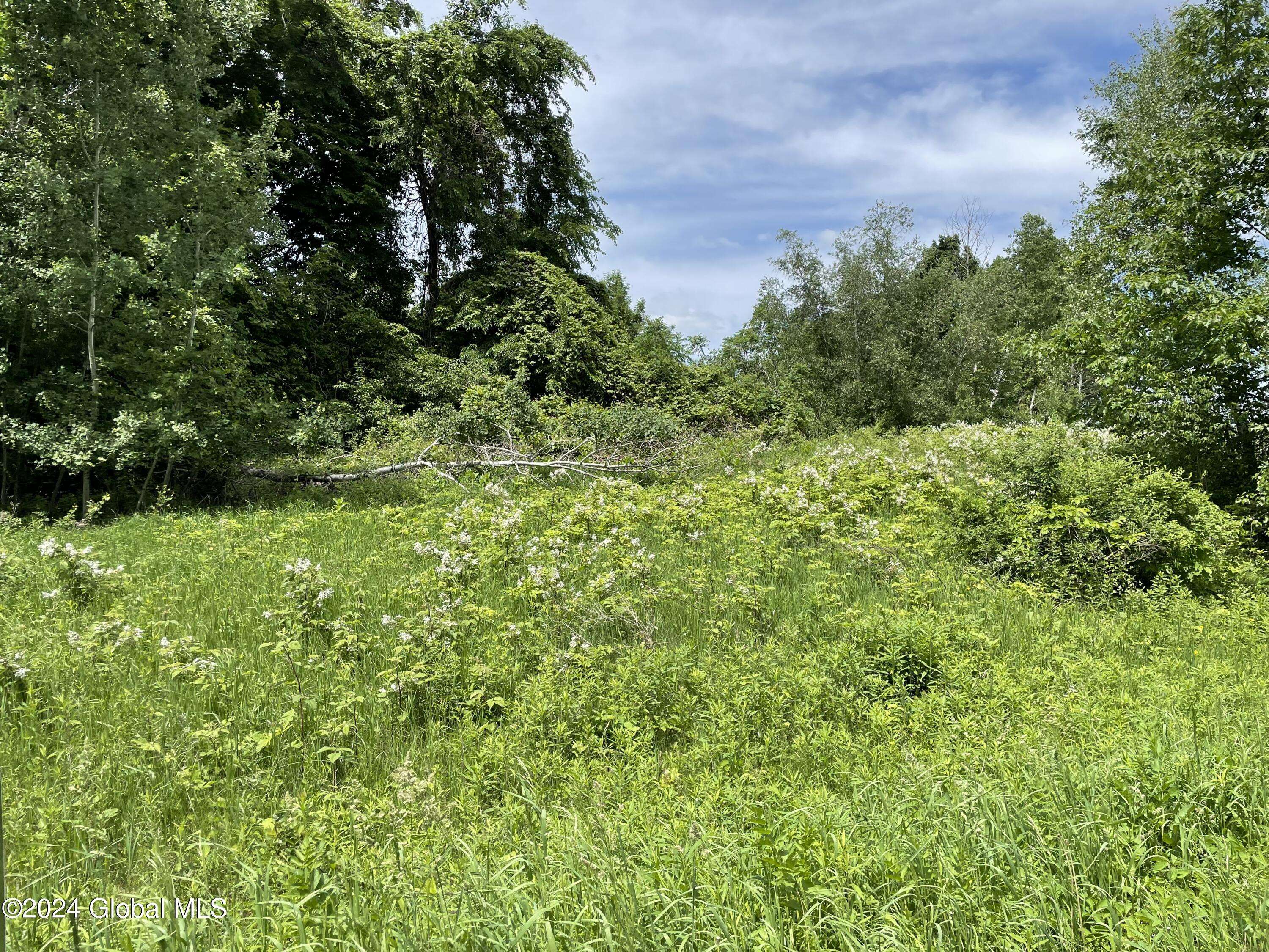 Granville, NY 12832,Lot 3 Halterman Rd