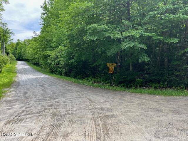 Johnsburg, NY 12853,110 Ruby Mountain Road