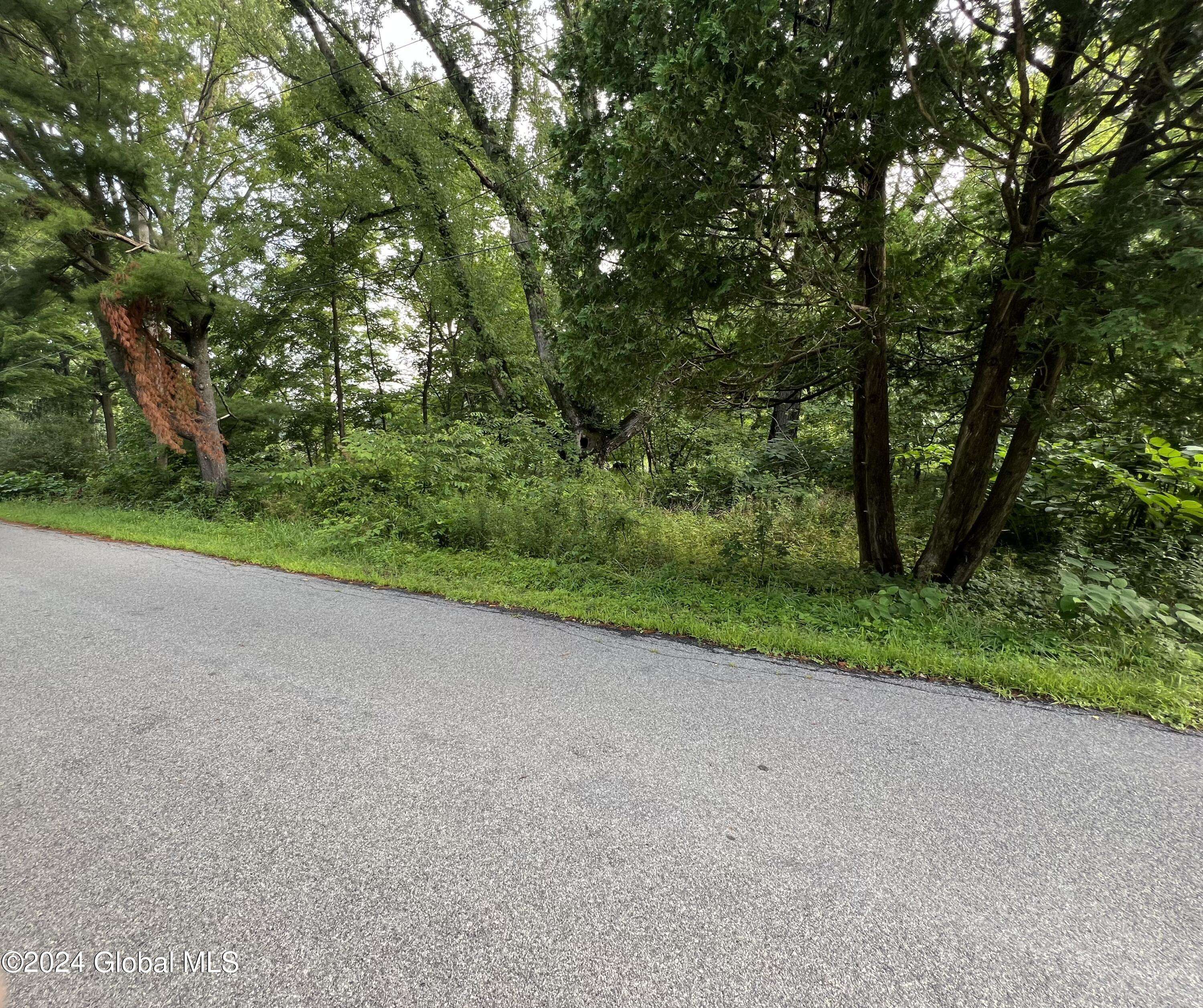 Esperance, NY 12066,L48 Priddle Road