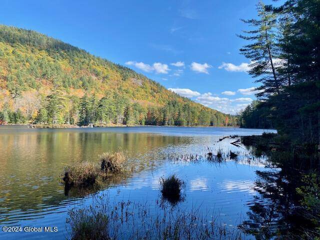 Johnsburg, NY 12853,35 Mountain Path