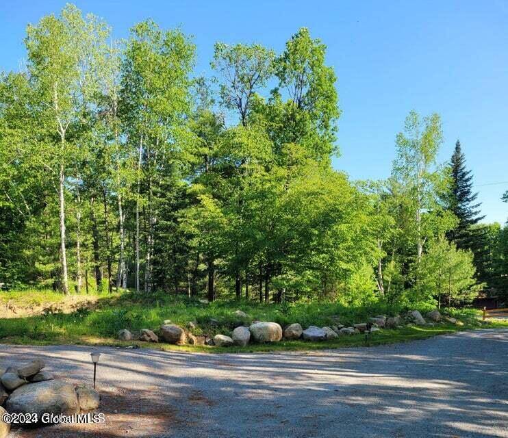 Schroon, NY 12870,25 Berry Hill Way