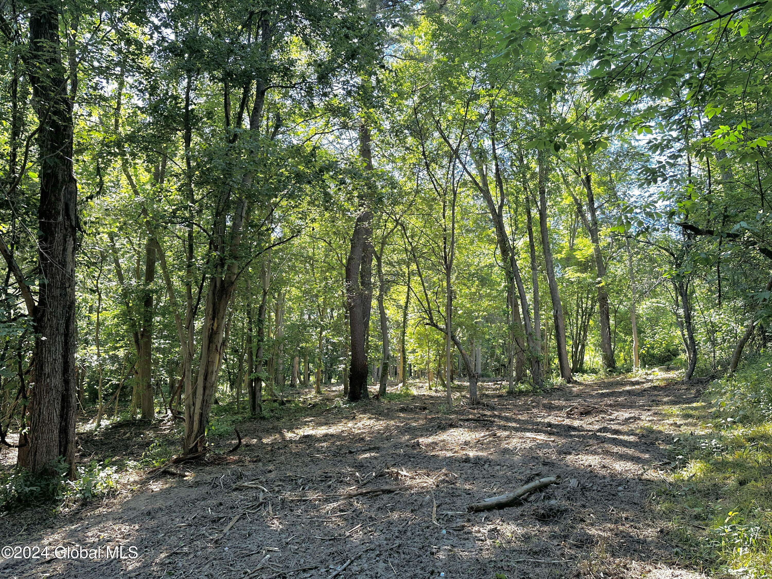 Schodack, NY 12123,Lot 2 Morey Park Hill Road