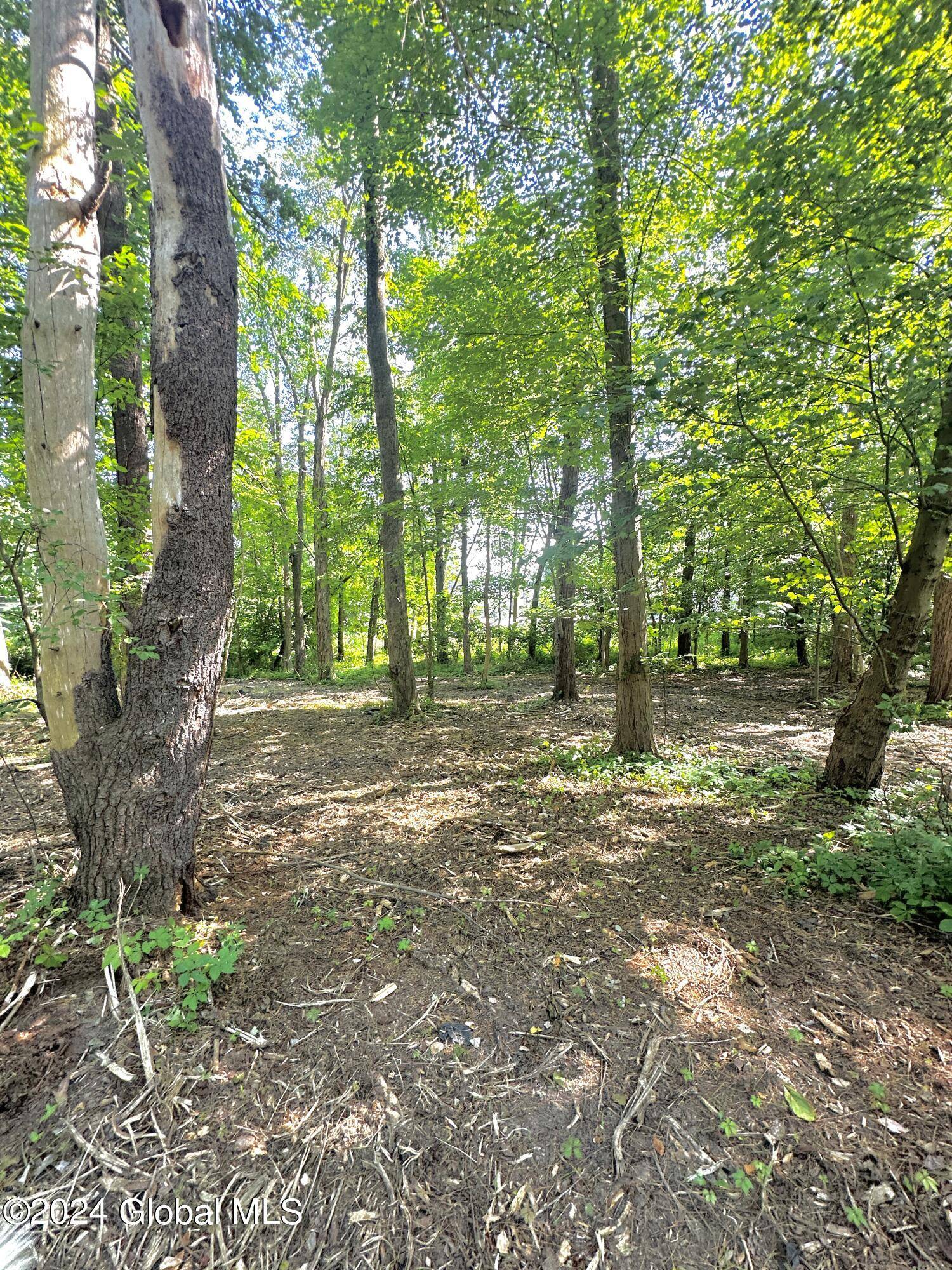 Schodack, NY 12123,Lot 2 Morey Park Hill Road